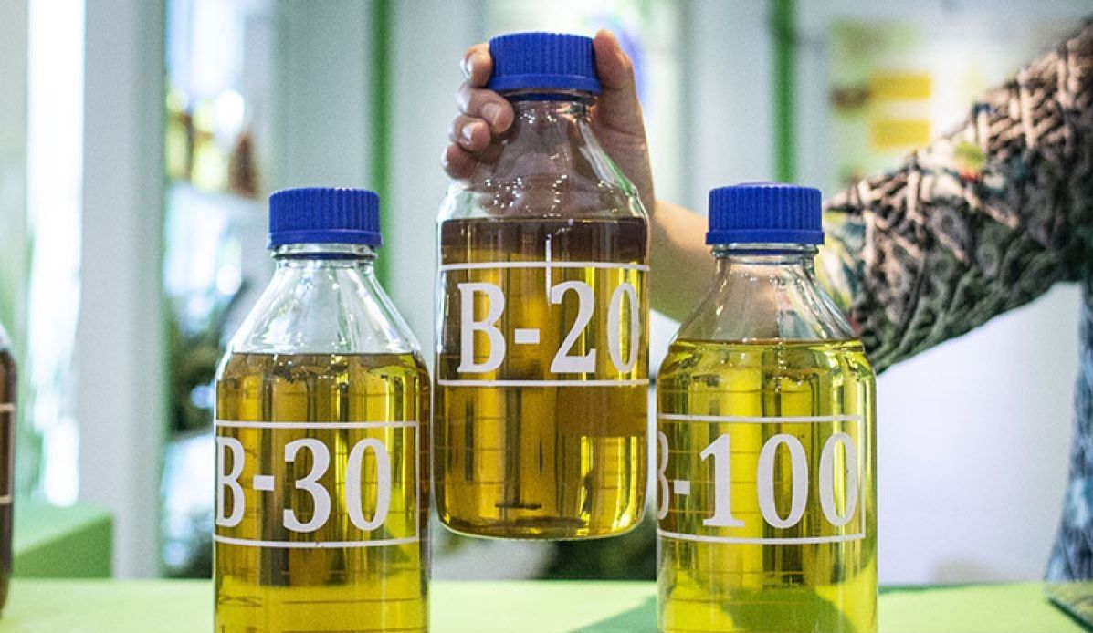 Wujudkan Ketahanan Energi Lewat B50, Akademisi Ingatkan Ketersediaan CPO