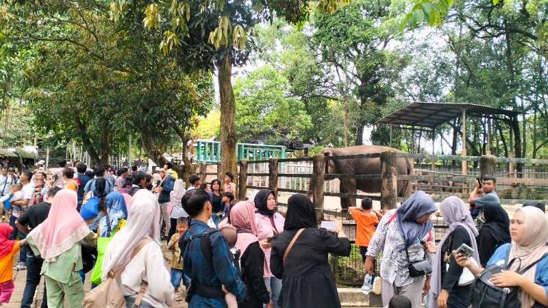 Ragunan Diprediksi Diserbu 30 Ribu Pengunjung saat Libur Paskah