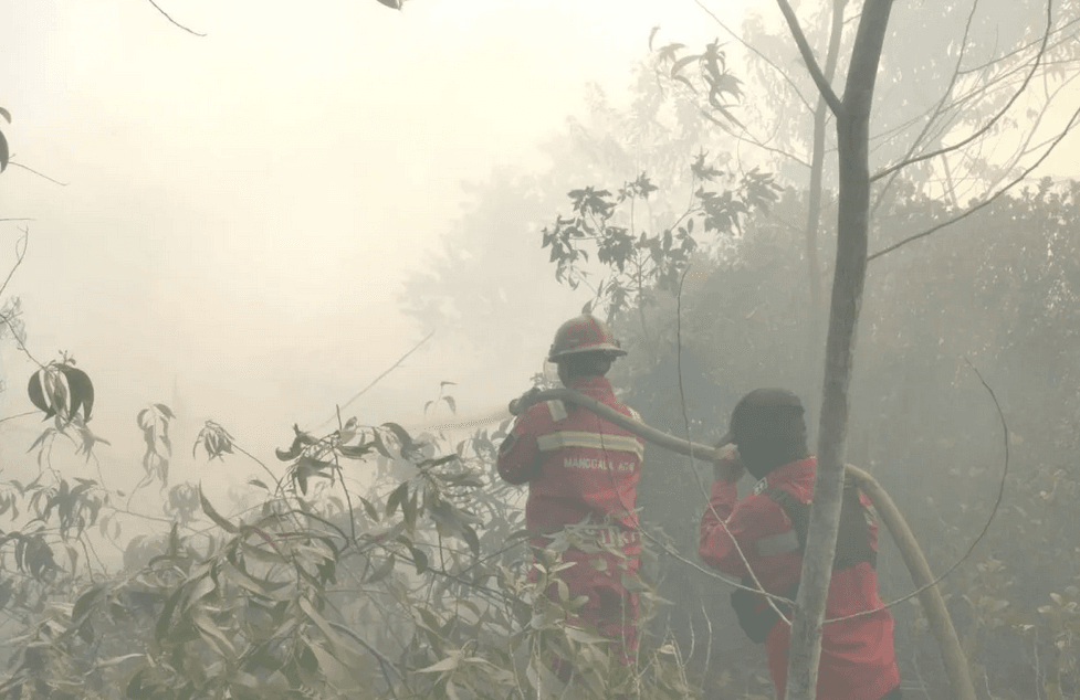 Dpr Ingatkan Kemarau Panjang Dampak ‘godzilla’ El Nino Buka Potensi Karhutla