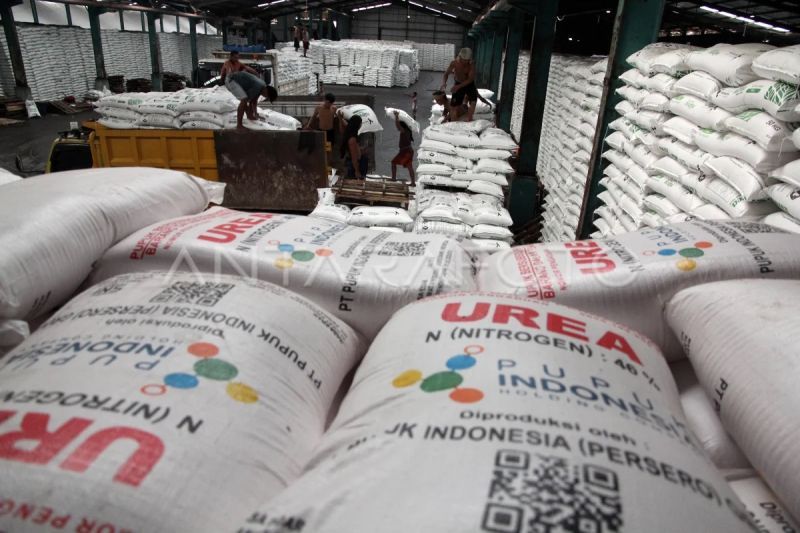 Harga Urea Global Tembus USD800, RI Justru Berpeluang Jadi Penopang Pangan Dunia