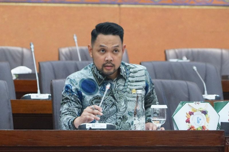 Atasi Kenaikan Harga Avtur, DPR Minta Pemerintah Belajar dari Pengalaman Vietnam