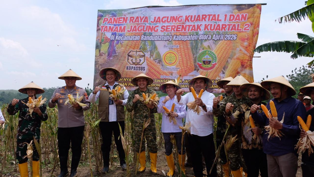 BULOG Kawal Panen Raya Jagung di Blora, Perkuat Akselerasi Swasembada Pangan Nasional