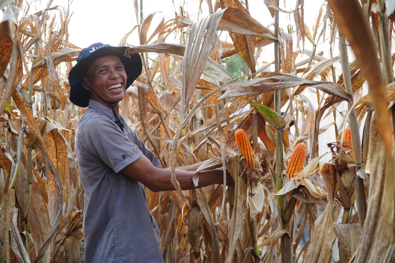 Inpres Nomor 3 Tahun 2026 Diteken Prabowo: Kode Keras Keberpihakan Negara Kepada Petani Jagung