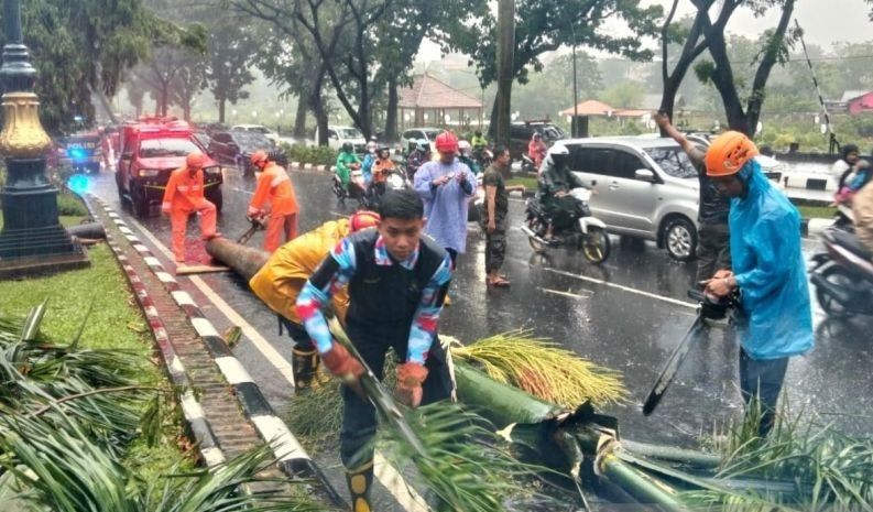 Seorang Pemotor Tewas Tertimpa Pohon di Jalan Tegar Beriman, Begini Kronologinya