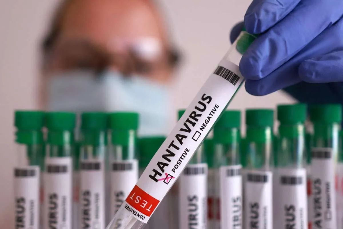 Hantavirus Terdeteksi Di Jawa Timur Sejak Januari!