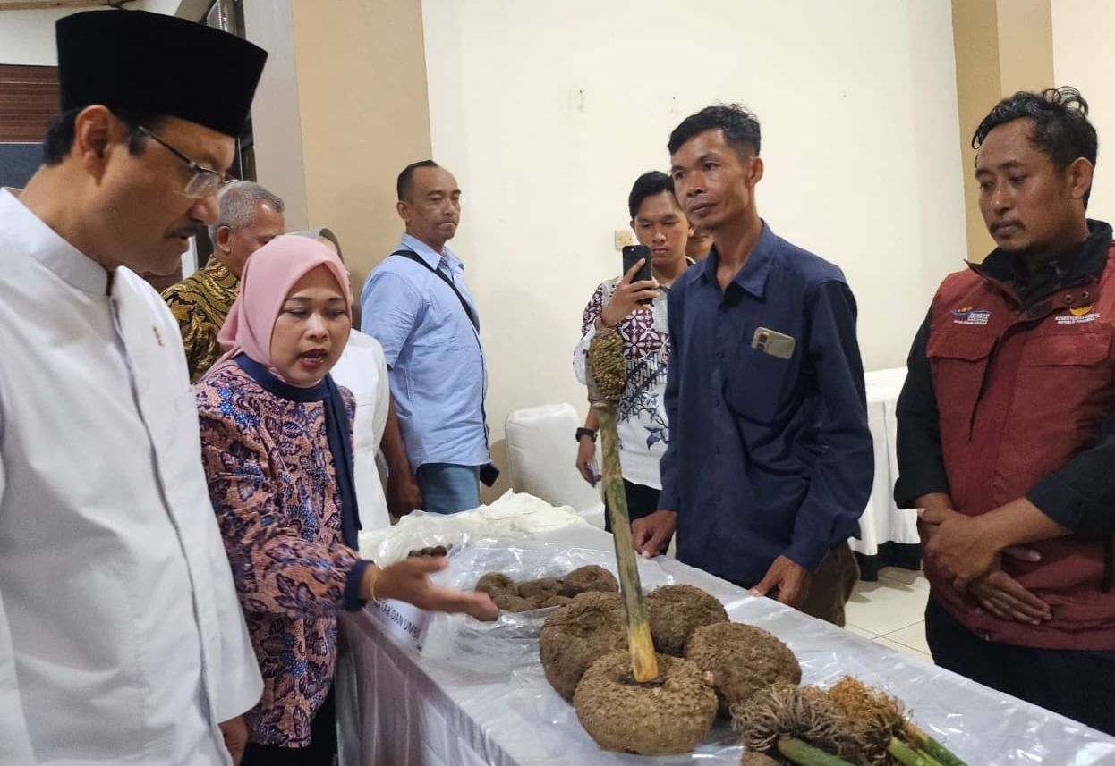 Dari Bandung ke Lombok, Hilirisasi Desa Astra Bikin Petani Naik Kelas hingga Pasar Ekspor