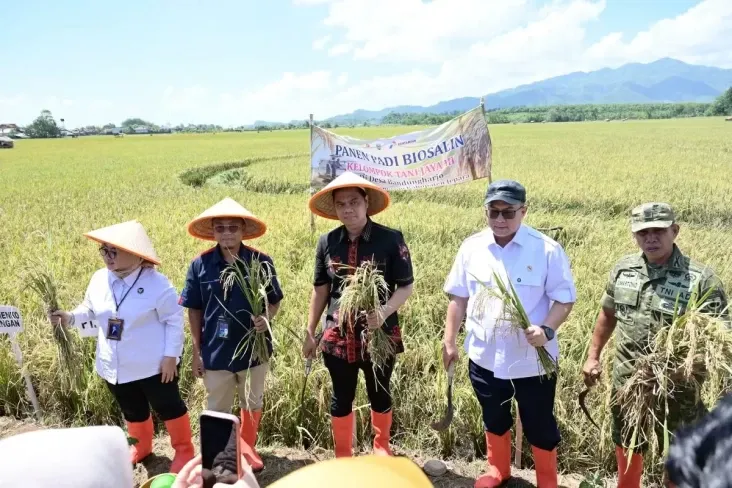 Hadirkan Varietas Padi Unggulan, Kolaborasi PGN dan BRIN Perkuat Ketahanan Pangan di Pesisir