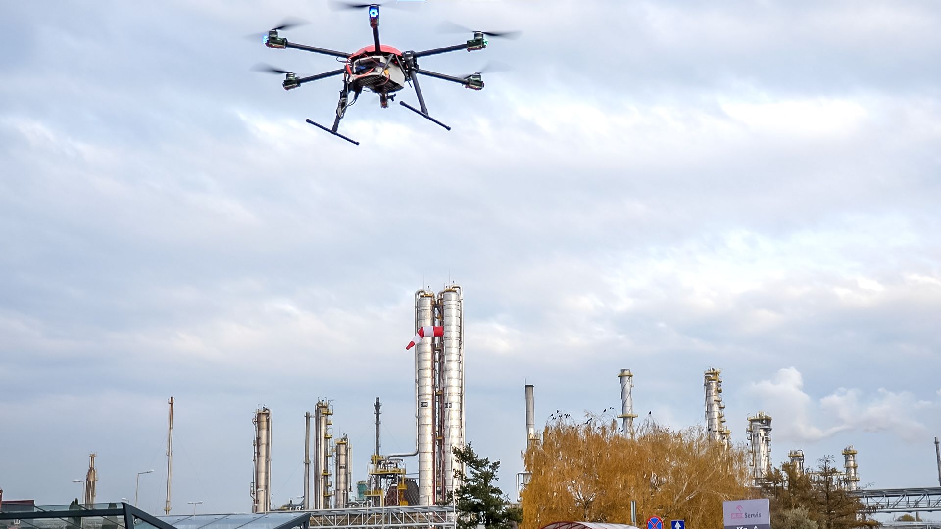 Padukan AI dan Drone Peneliti Spanyol Rancang Gandum Kebal Iklim Ekstrem