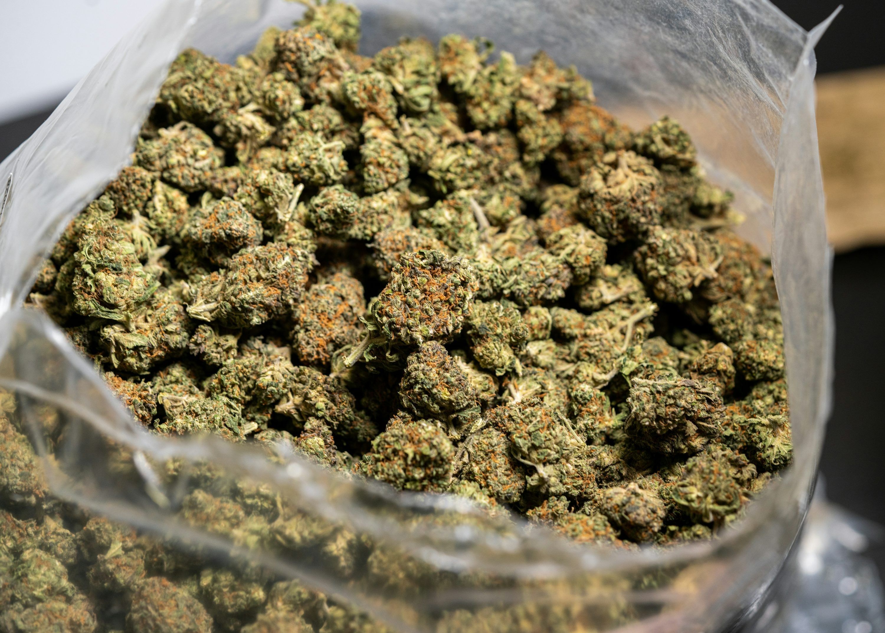 Pulang Liburan, 22 Biksu Tertangkap Bawa 110 Kilogram Ganja