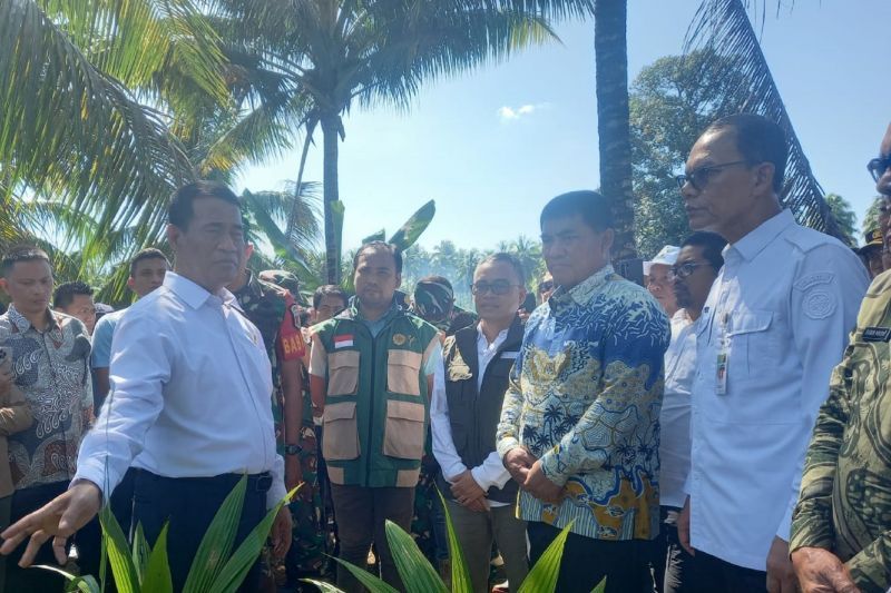 Temukan Ribuan Bibit Bermasalah, Mentan Amran Minta Aparat Pelototi Proyek Kelapa di Sulut