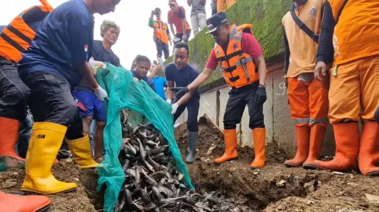Penangkapan Ikan Sapu-Sapu, Pemkot Jakbar Kumpulkan 217 Kilogram Hari Ini