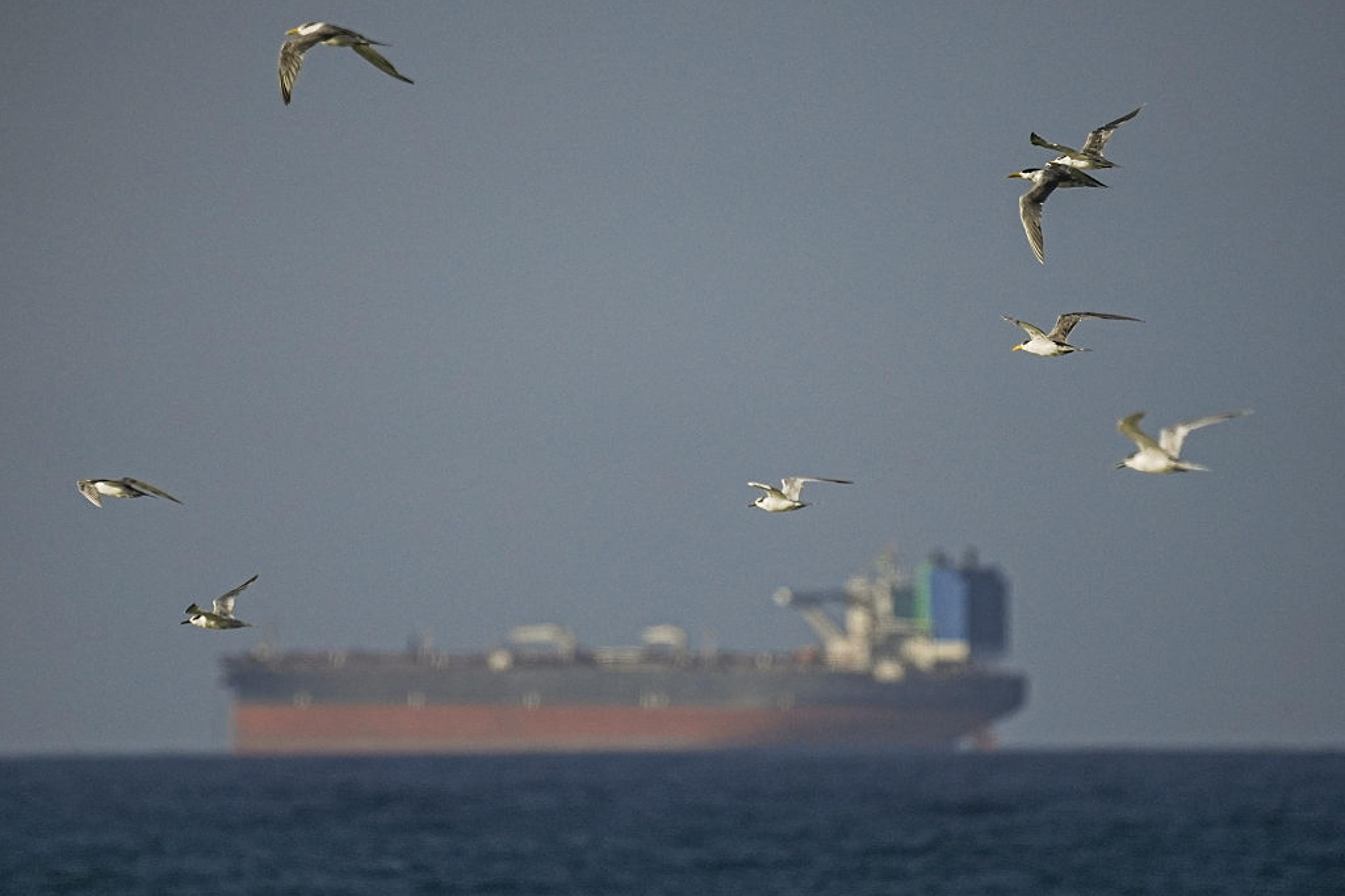 Iran Tawarkan Barter Pembukaan Selat Hormuz dengan Penundaan Isu Nuklir
