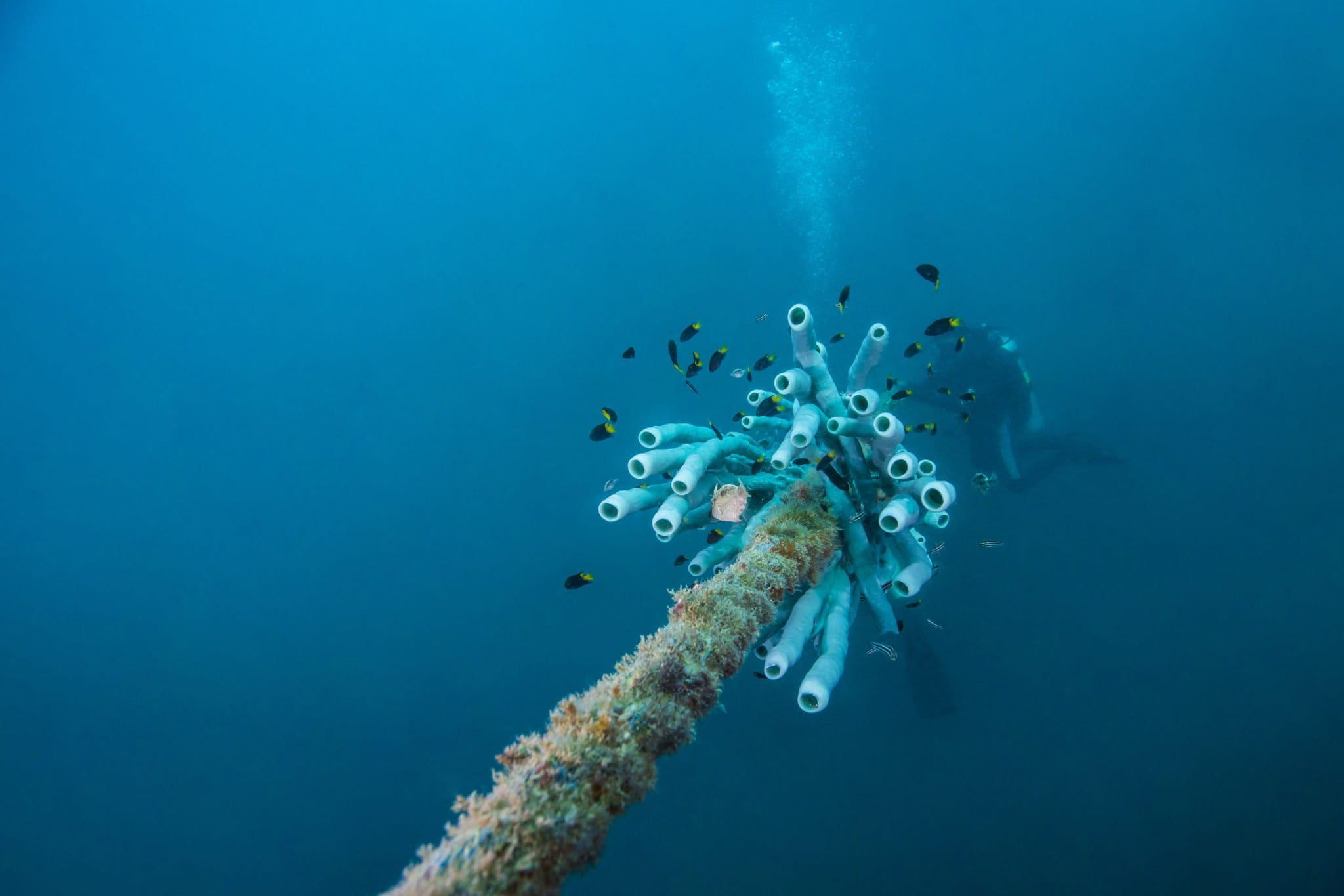 Kabel Laut Ilegal Menggurita, DPR Ingatkan Ancaman Kedaulatan dan PNBP